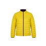 MIAS POLAR YELLOW.jpg