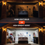 NEB-OTH-0001_HIGH-BRIGHT-6000-Garage-LED-Light_Web_Infographic_Comparison-scaled.png