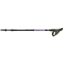 render-100-045-speed-violet-rgb-2025.png
